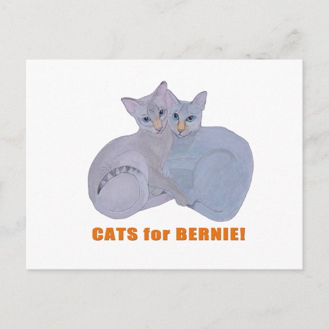 Carte Postale Chats pour Bernie ! (Devant)