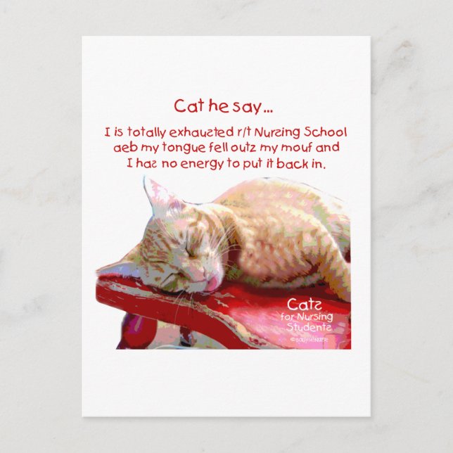 Carte Postale Chats pour étudiants en soins infirmiers - Épuisé (Devant)