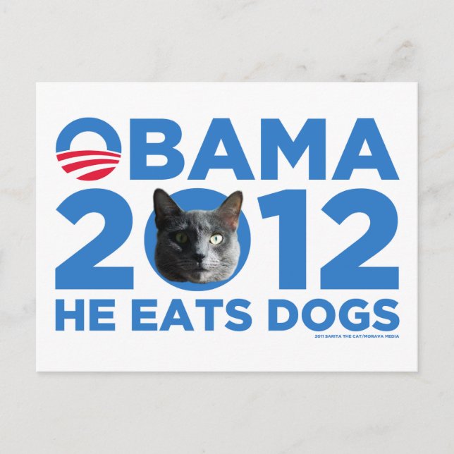 Carte Postale Chats Pour Obama (Devant)