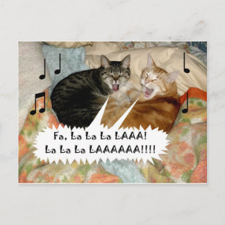 Carte Postale Chats qui chantent