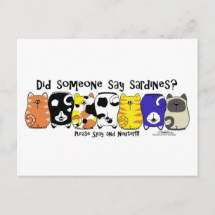 Carte Postale Chats Sardine