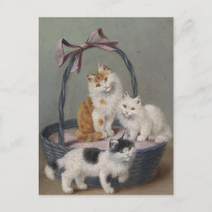 Carte Postale Chats Sophie Sperlich vintage dans un panier