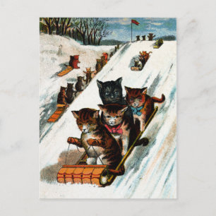 Carte Postale Chats Toboggan vintages