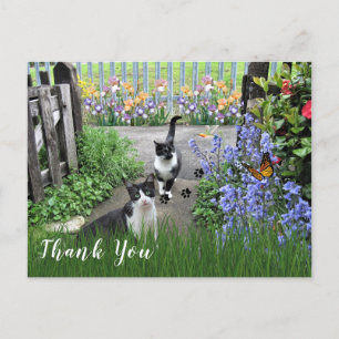 Carte Postale Chats Tuxedo noirs et blancs dans le Merci de jard