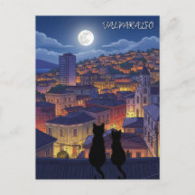 Chats Valparaiso Chili la nuit