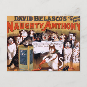 Carte Postale Chats vintages