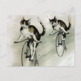Carte Postale Chats vintages sur des vélos