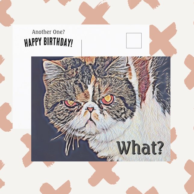 Carte Postale Chatte Grincheuse Drôle Anniversaire (Créateur téléchargé)