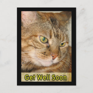 Carte Postale chatte va bien bientôt