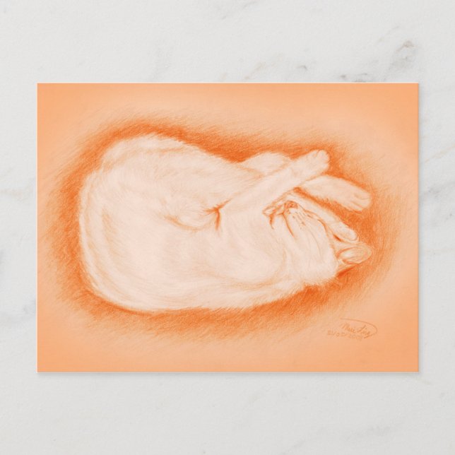 Carte Postale Chaud comme une luciole (Devant)