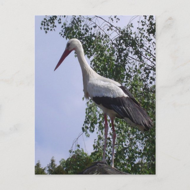 Carte Postale Chaudières de Strasbourg (Devant)