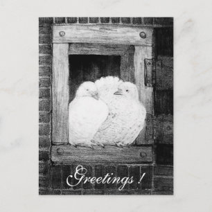 Carte Postale CHAUSSURES BLANCHES À LA FENÊTRE noir et blanc