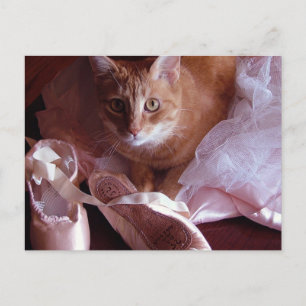 Carte Postale Chaussures de chat et de ballet