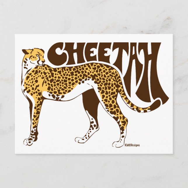 Carte Postale Cheetah (Devant)