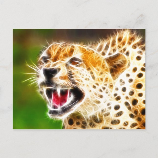 Carte Postale Cheetah (Devant)