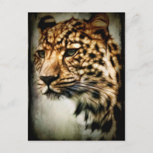 Carte Postale Cheetah