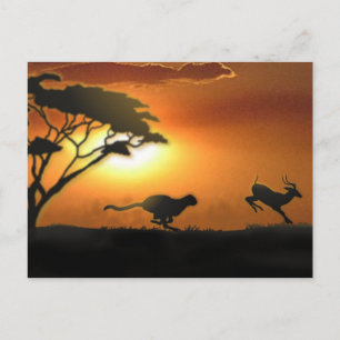 Carte postale Cheetah et Gazelle