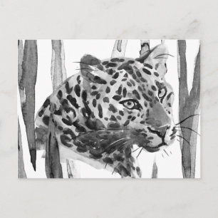 Carte Postale Cheetah Portrait