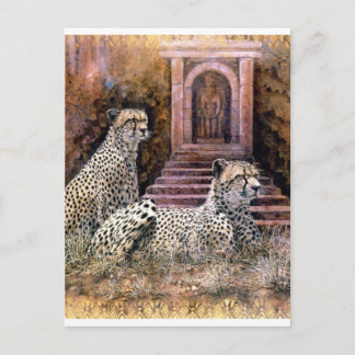 Carte Postale Cheetahs de Lost City