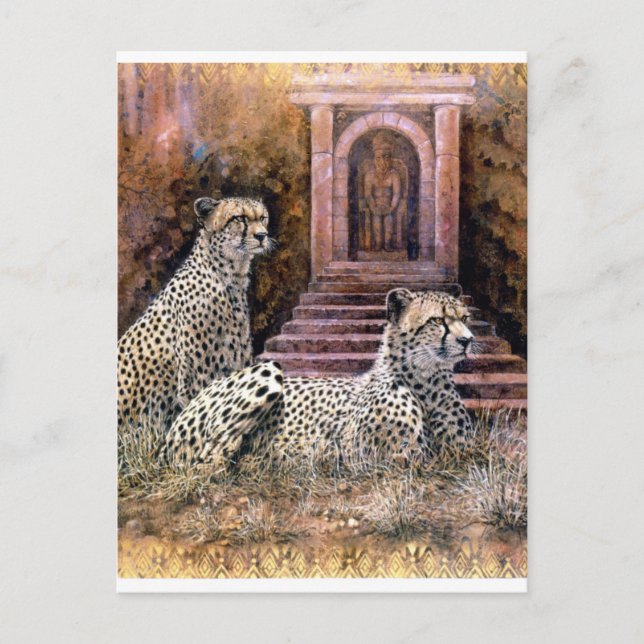 Carte Postale Cheetahs de Lost City (Devant)