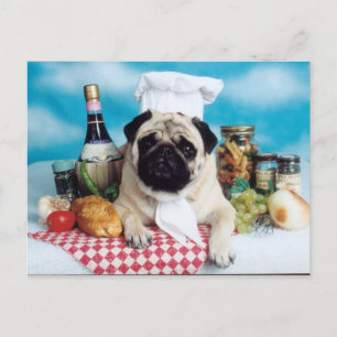 Carte Postale Chef chien carlin