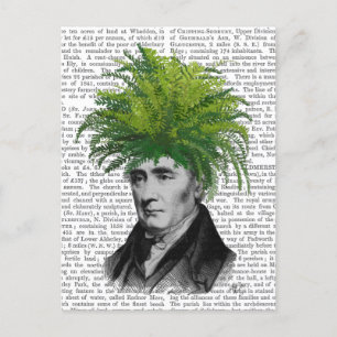 Carte Postale Chef du Plante de Fern Head
