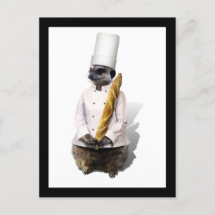 Carte Postale Chef Meercat Avec Baguette