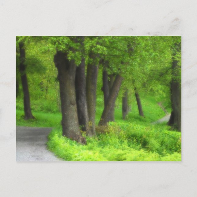 Carte Postale Chemin (Devant)