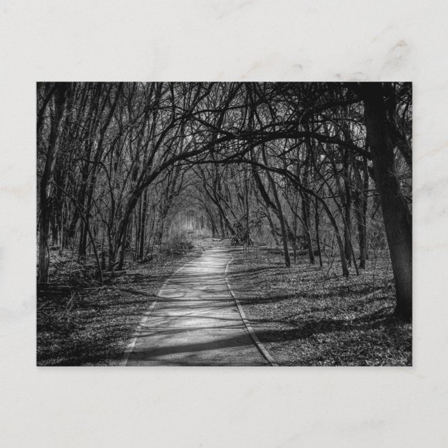 Carte Postale Chemin (Devant)