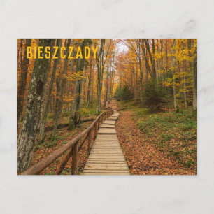 Carte Postale Chemin à travers la forêt automnale.