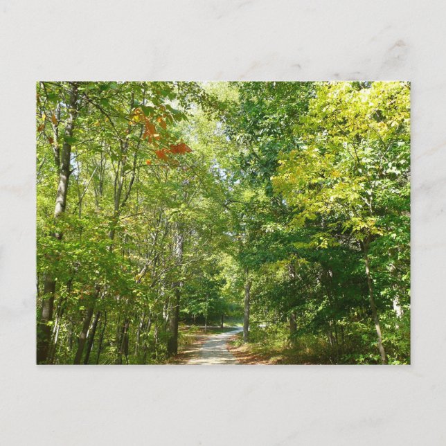 Carte Postale Chemin boisé centenaire I Ellicott City Nature (Devant)