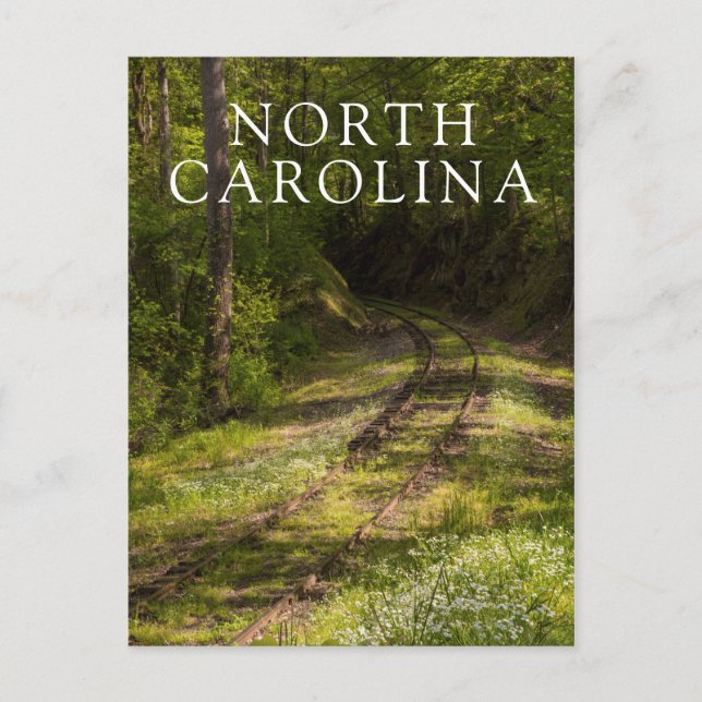 Carte Postale Chemin De Fer Abandonné Dans Une Forêt (Devant)