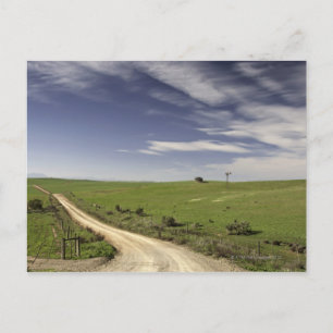 Carte Postale Chemin de ferme en lacets entre les champs de blé,