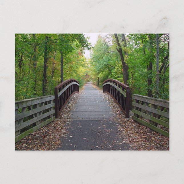 Carte postale Chemin de forêt (Devant)