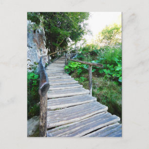 Carte Postale chemin de la nature