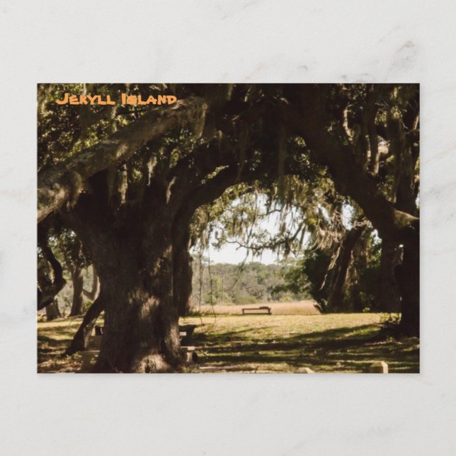 Carte Postale Chemin de l'île Jekyll jusqu'au marais (Devant)