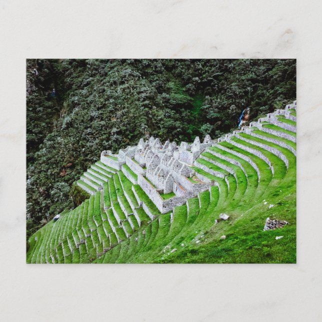 Carte Postale Chemin de l'Inca Machu Picchu Pérou - Photographie (Devant)