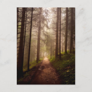 Carte Postale Chemin de Misty Woodland