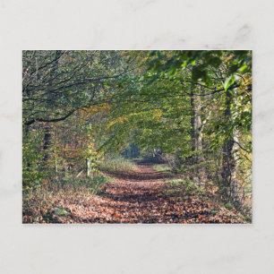 Carte Postale Chemin de randonnée d'automne Poynton Cheshire