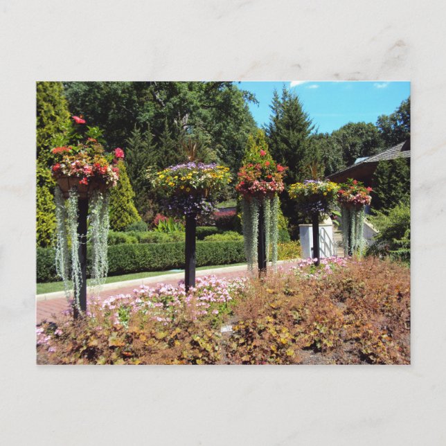 Carte Postale Chemin du jardin (Devant)