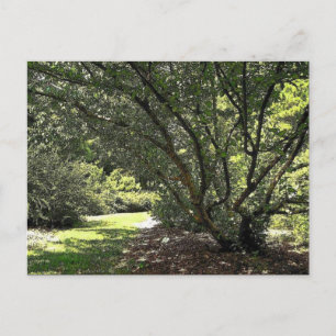 Carte Postale Chemin du jardin par Mark Edward Westerfield