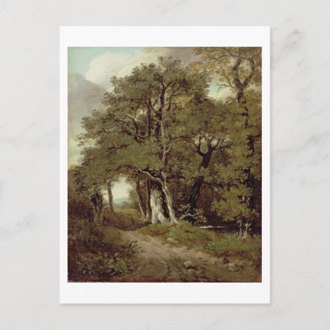 Carte Postale Chemin En Bois (Devant)