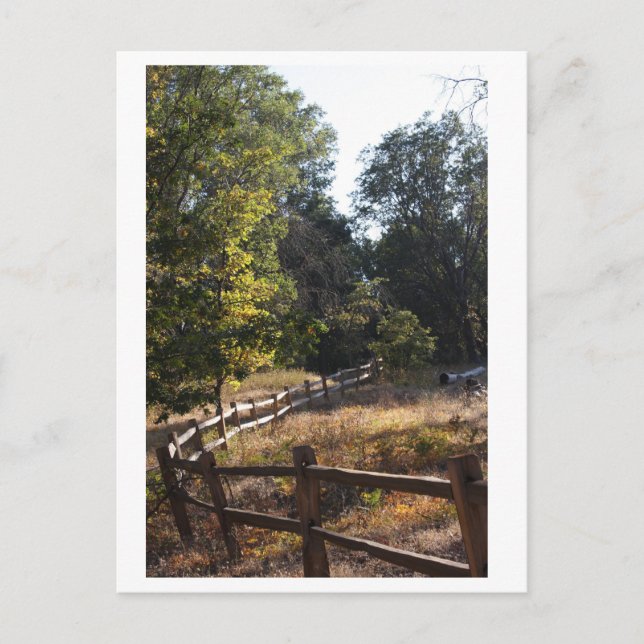 Carte Postale Chemin forestier (Devant)