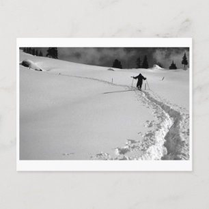 CARTE POSTALE CHEMIN HIVER