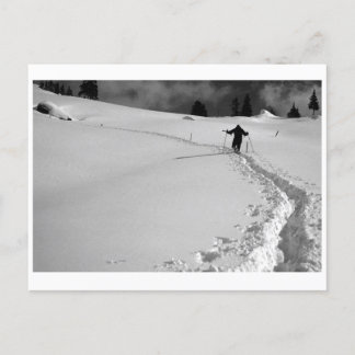 CARTE POSTALE CHEMIN HIVER