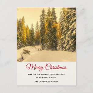 Carte Postale Chemin hivernal enneigé avec sapins de Noël