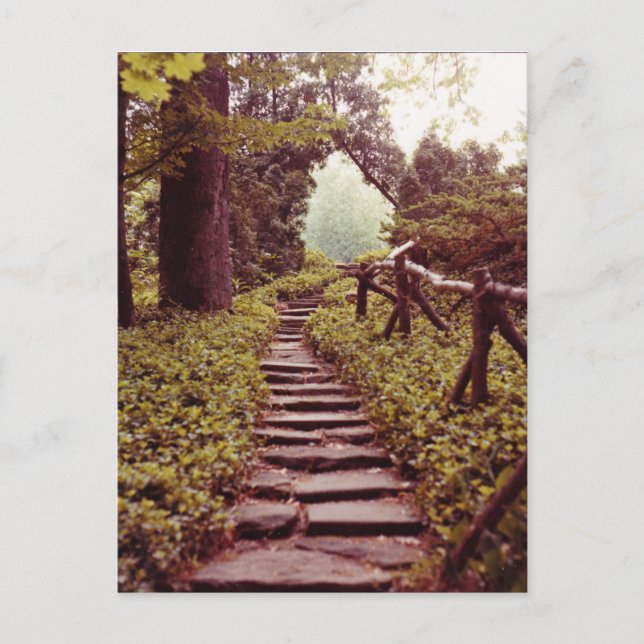 Carte Postale Chemin vers la lumière (Devant)