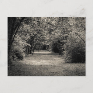 Carte Postale Chemin vers l'inconnu