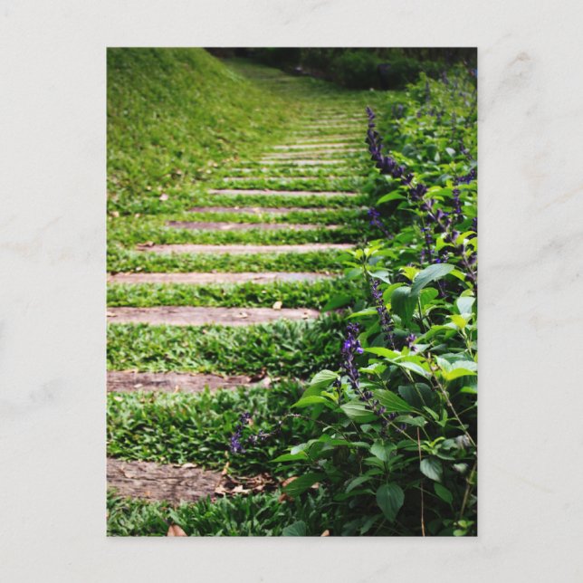 Carte Postale Chemin Vert (Devant)