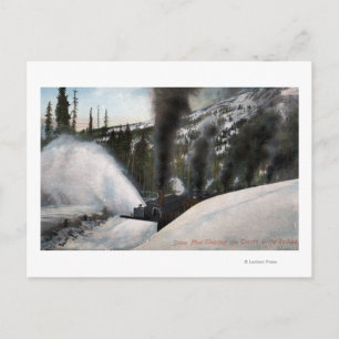 Carte Postale Chemins de défrichement des chemins de fer à fente